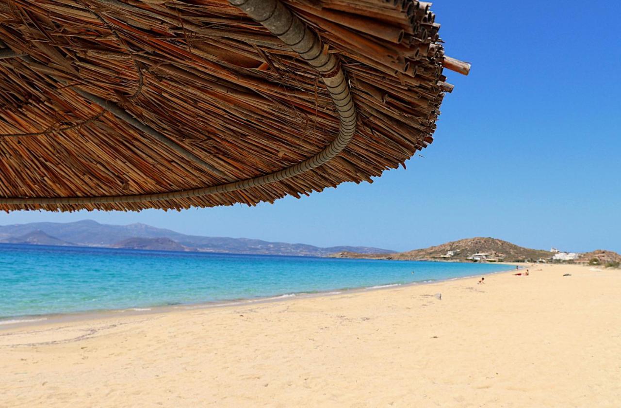 Beach Apartment Thalia With Hot Tub And Sea View Agios Prokopios  Exterior foto